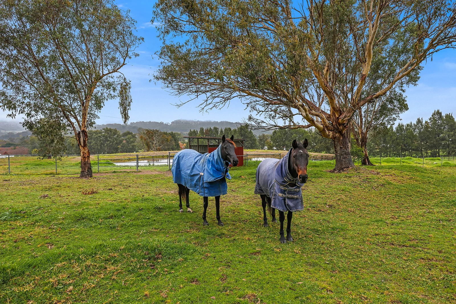 Additional image 25 of 80 Doughboy Street, Murrurundi NSW 2338