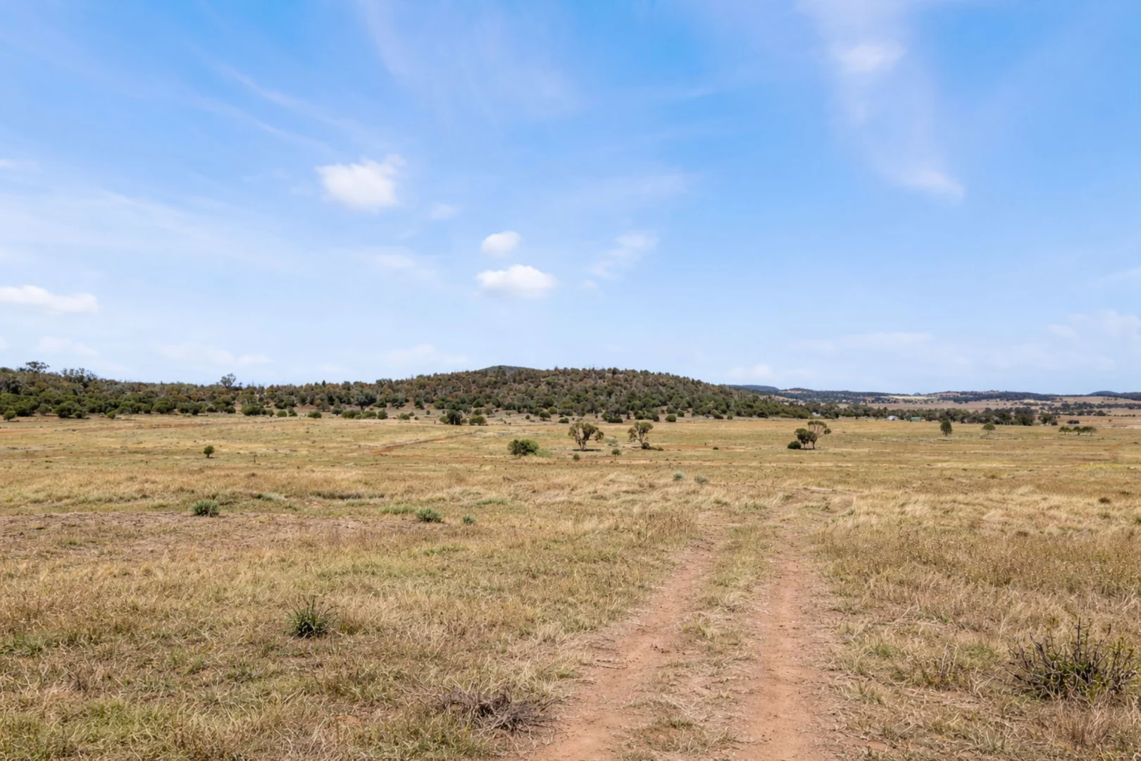 Additional image 3 of 8681 Oxley Highway, Gunnedah NSW 2380