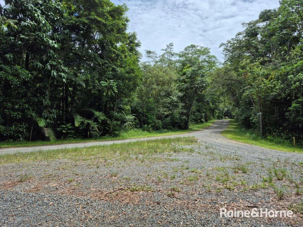 Additional image 18 of Lot 18 George Road, Forest Creek QLD 4873