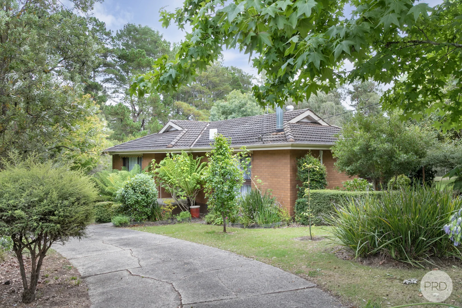 Additional image 2 of 26 Cumberland Street, Linton VIC 3360