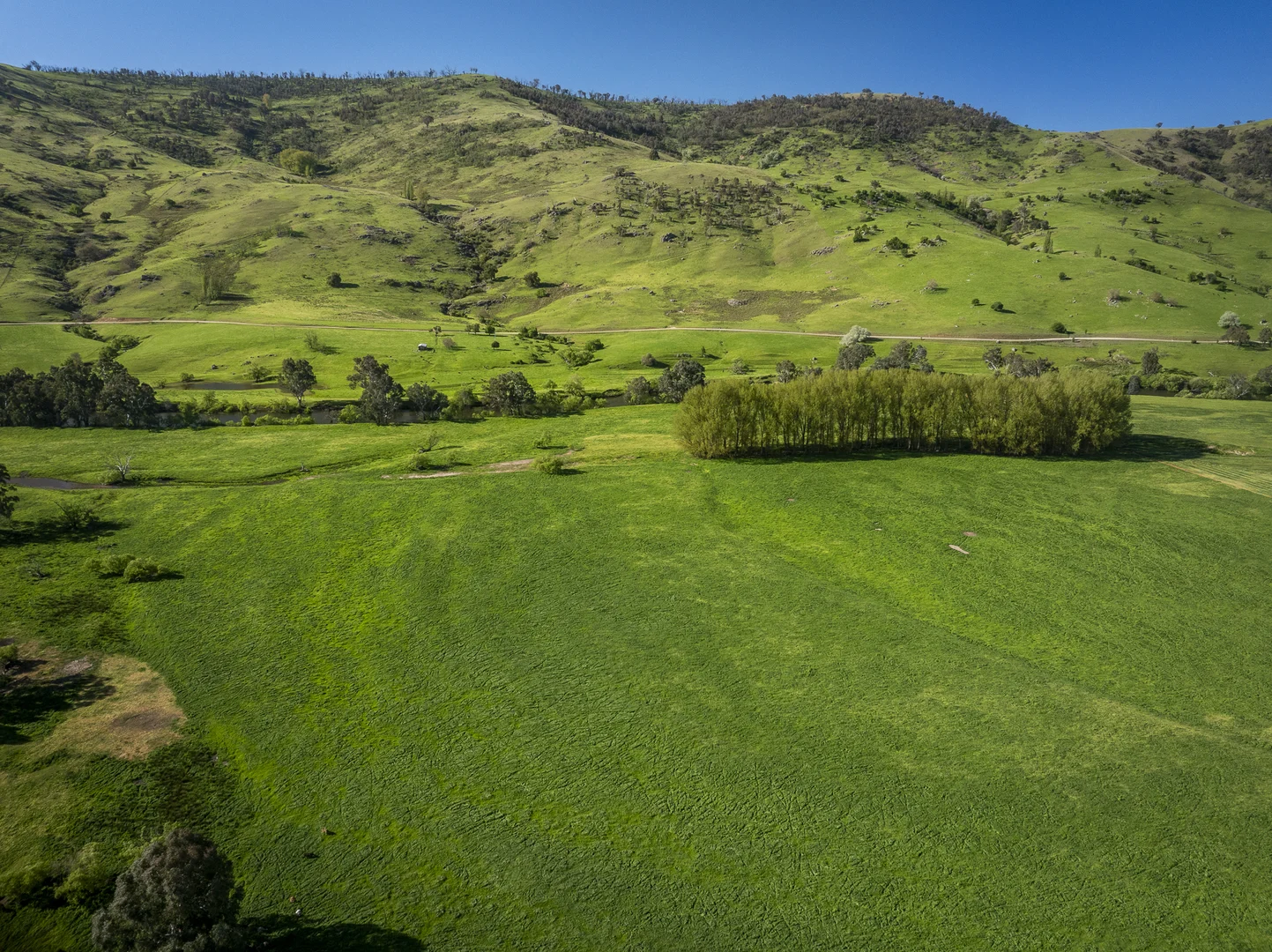 Additional image 3 of - Murray River Road, Pine Mountain VIC 3709