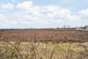 Additional image 35 of 13 Mains Of Mawcarse, Kinross, KY13 9SF