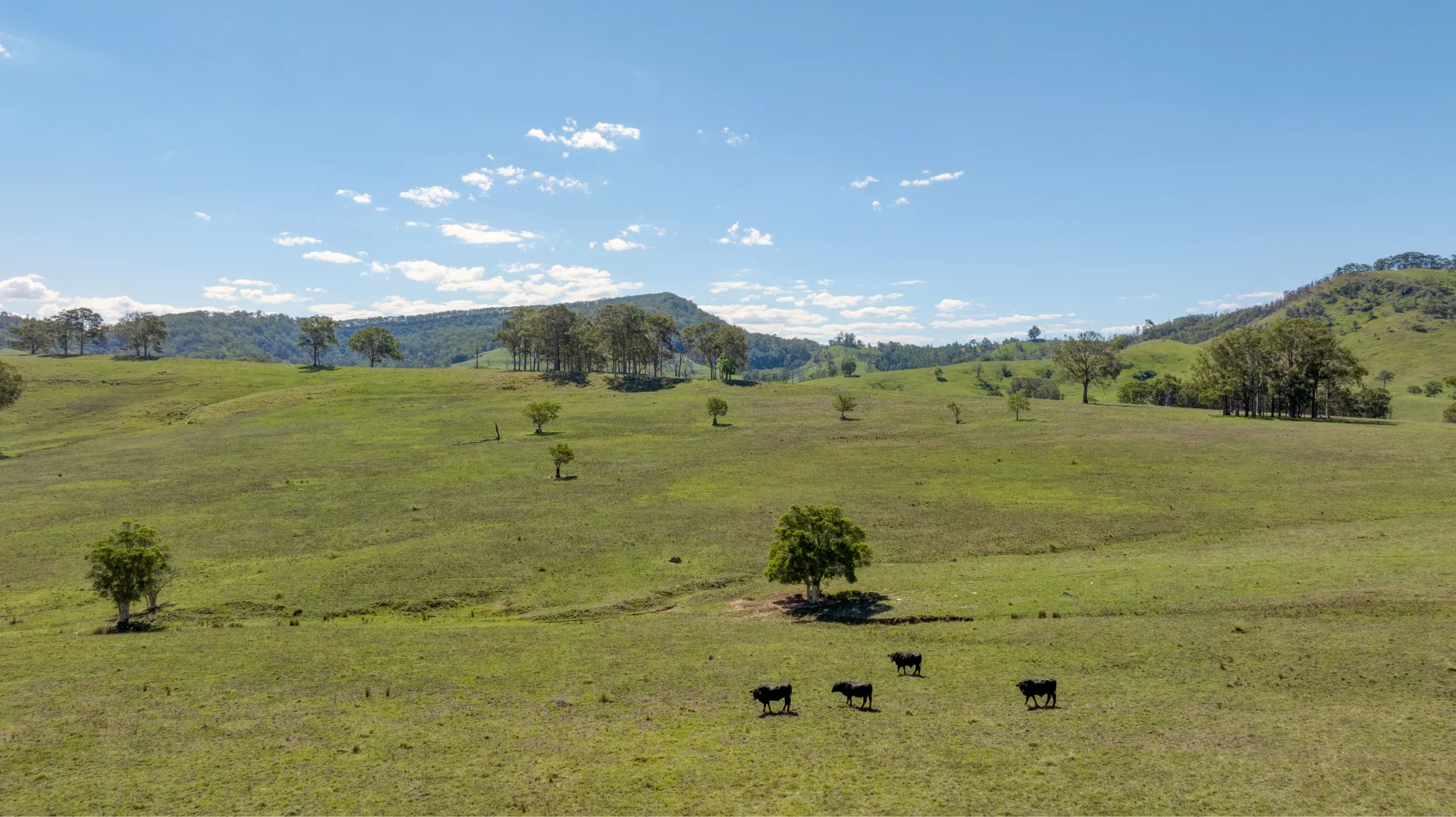 Additional image 12 of 1993 Glendonbrook Road, Gresford NSW 2311