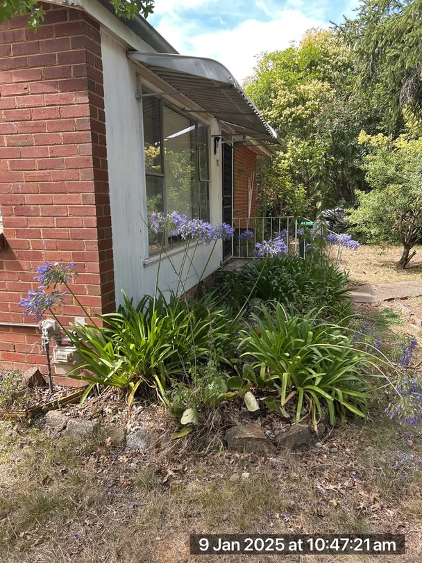 Additional image 3 of 90 Goodwin Street, Lyneham ACT 2602