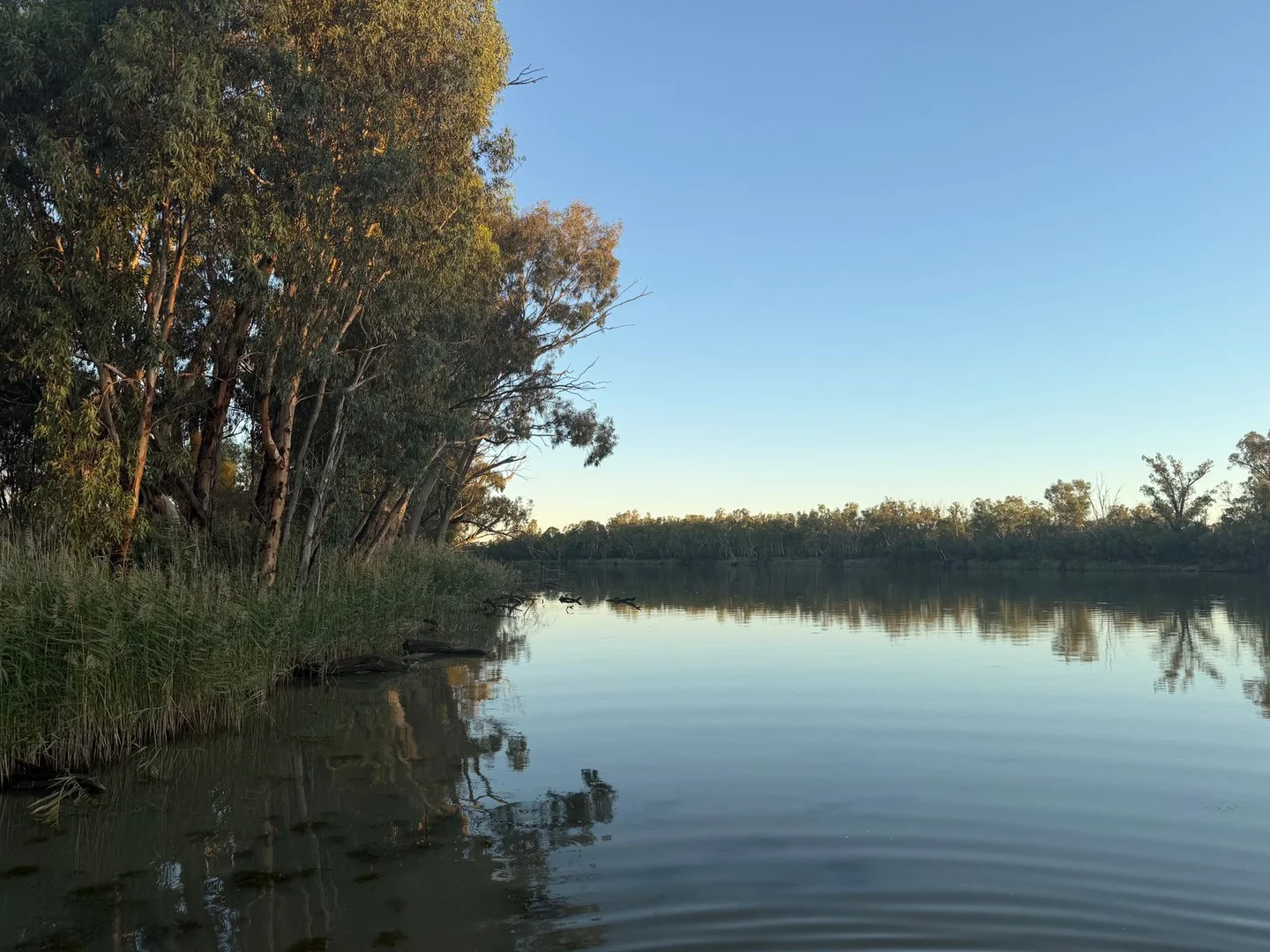 Additional image 3 of Lot 2 / 5669 Sturt Highway, Monak NSW 2738