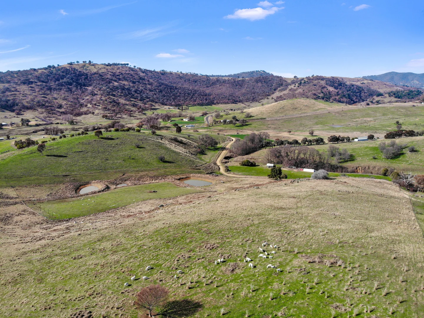Additional image 3 of Lot 514 Back Sandy Gully Road, Adelong NSW 2729