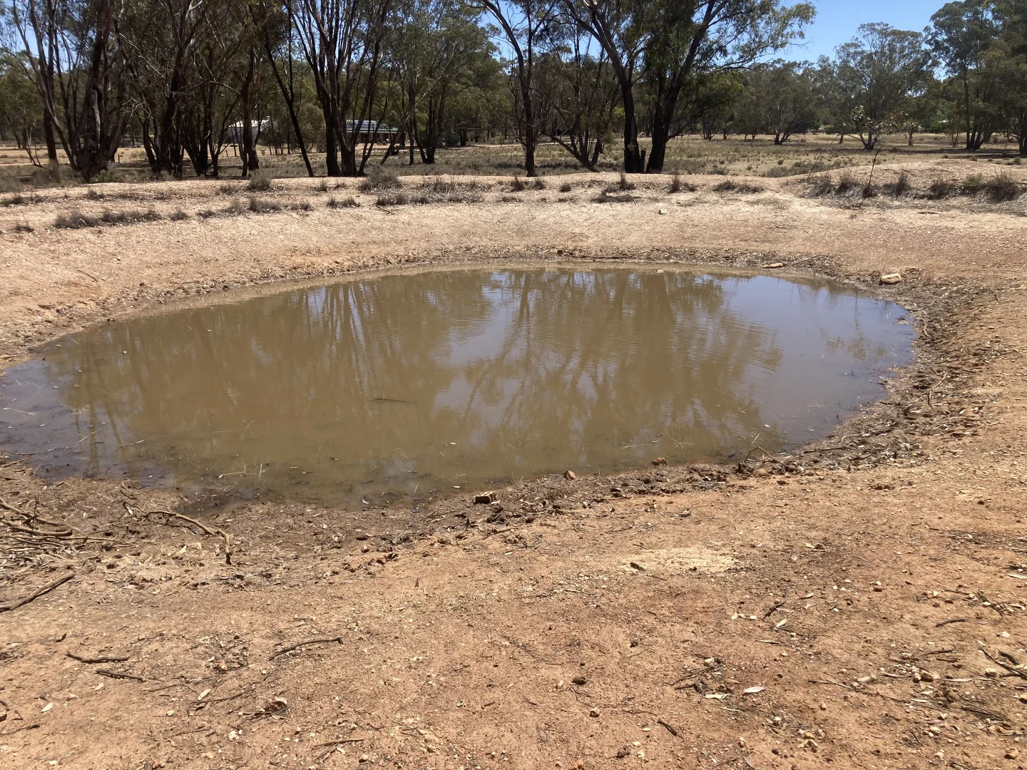 Additional image 18 of 178 Moroneys Lane, Temora NSW 2666