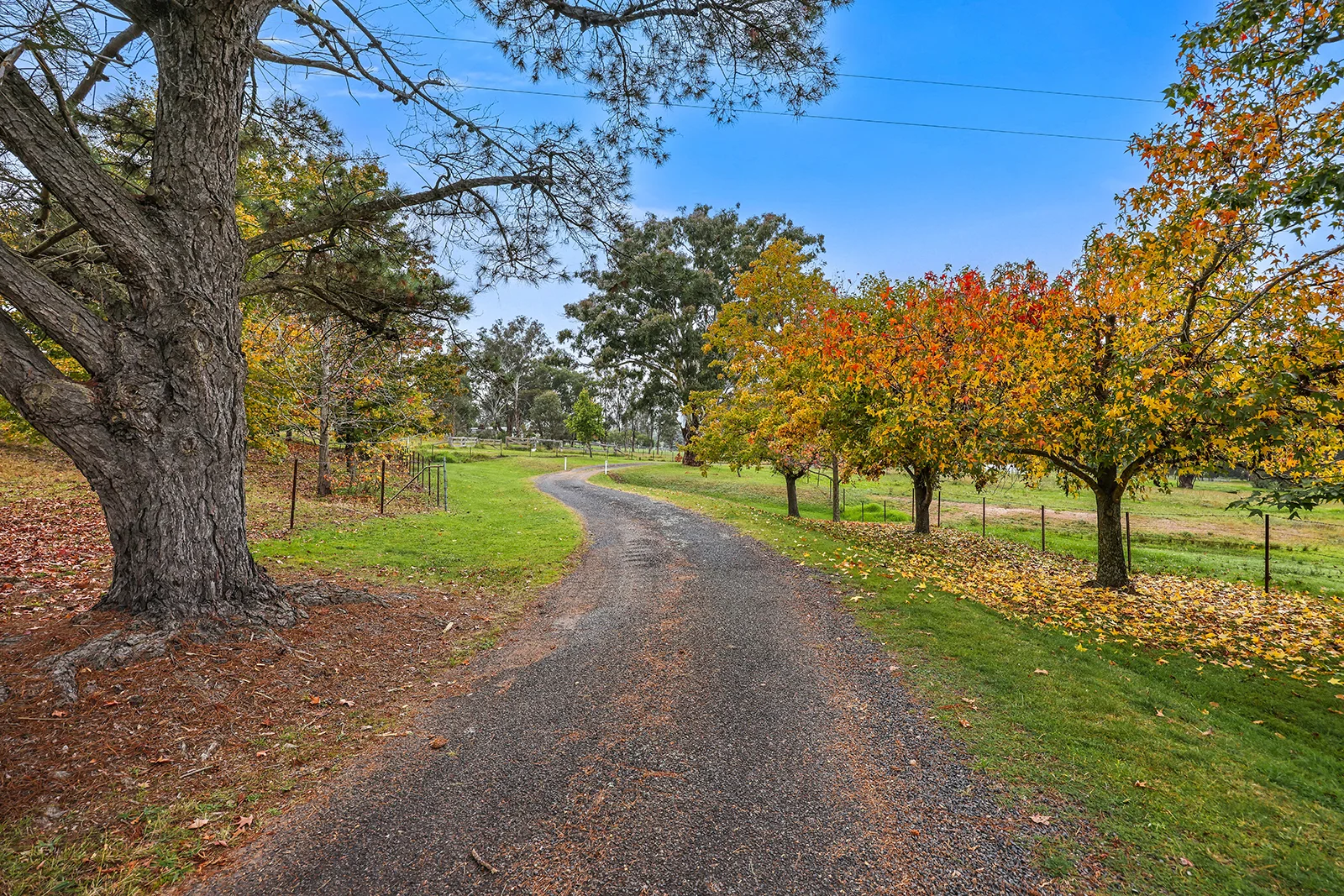 Additional image 3 of 80 Doughboy Street, Murrurundi NSW 2338