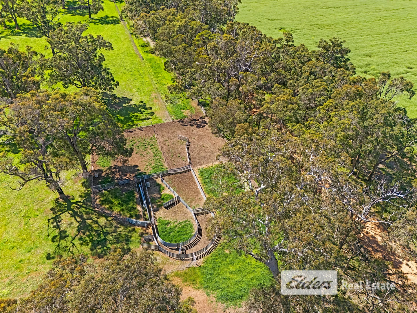 Additional image 12 of 101 Riches Road, Mount Barker WA 6324