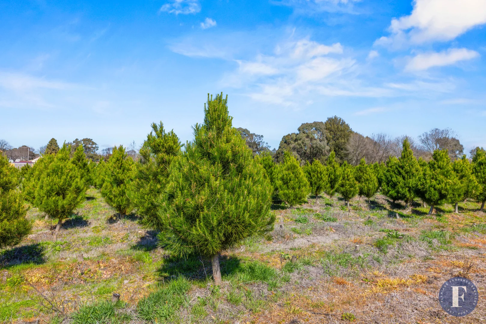 Additional image 4 of Lot 13/81 Campbell Street, Boorowa NSW 2586