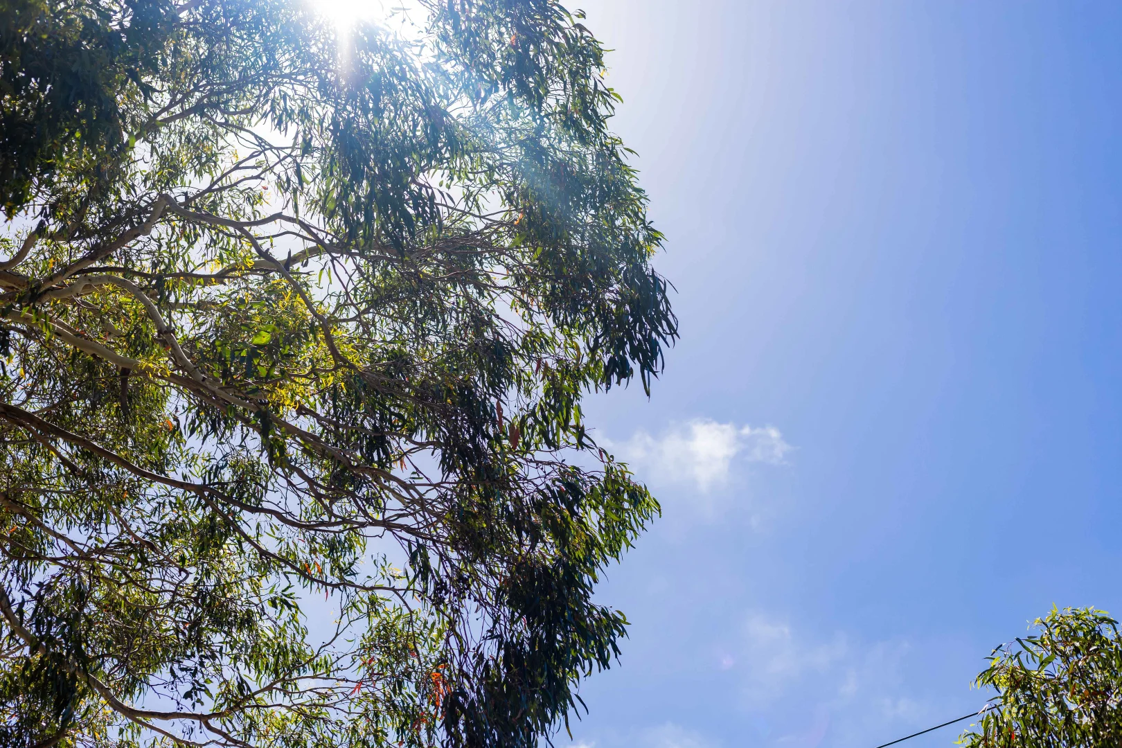 Additional image 3 of 24 Lodge Place, Armstrong Creek VIC 3217