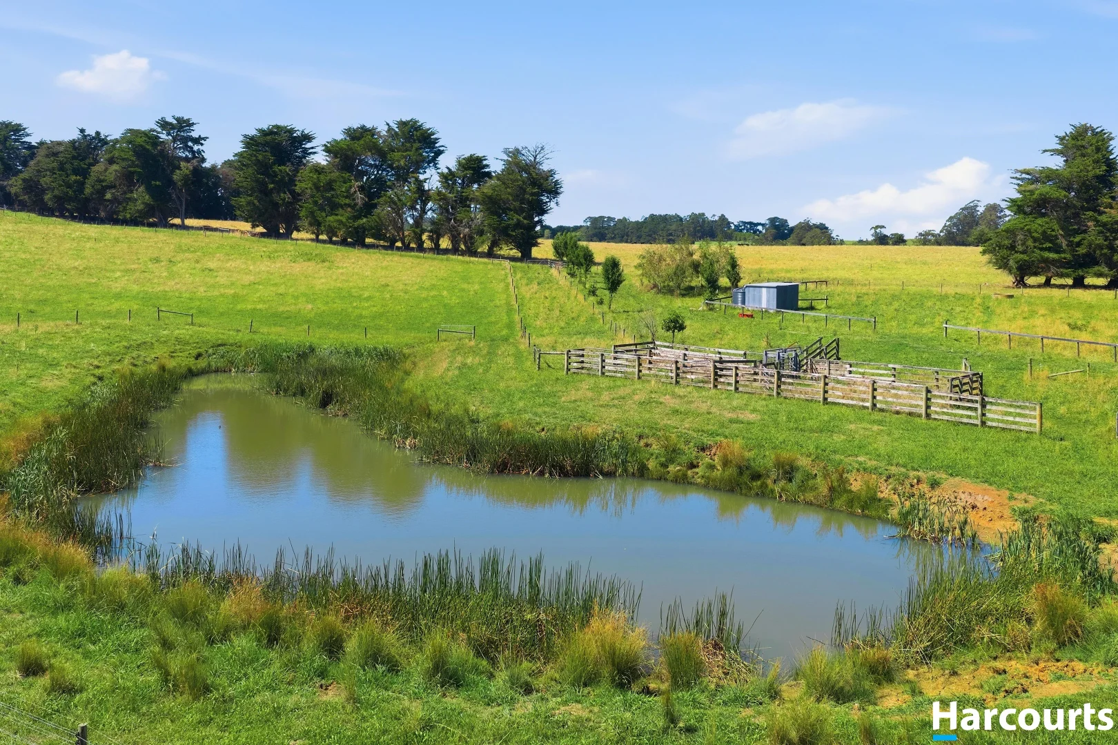 Additional image 13 of 8 Stubbers Lane, Mirboo North VIC 3871