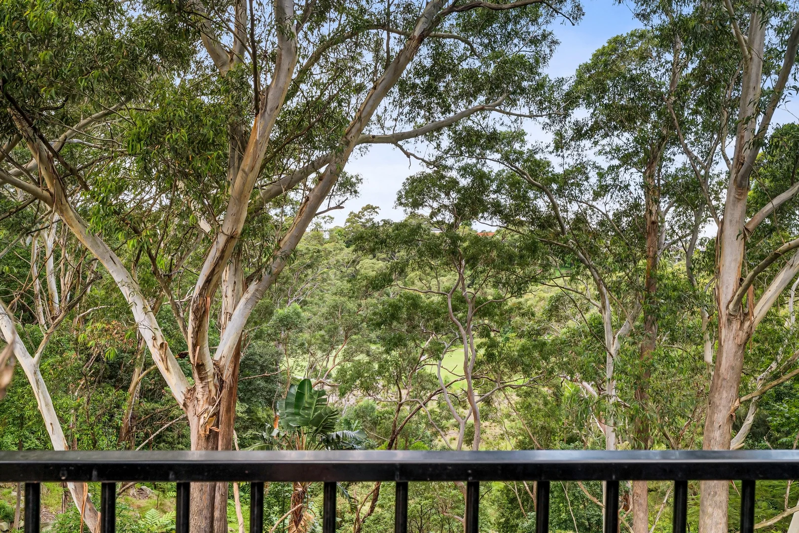 Additional image 8 of 52 Wayne Avenue, Lugarno NSW 2210