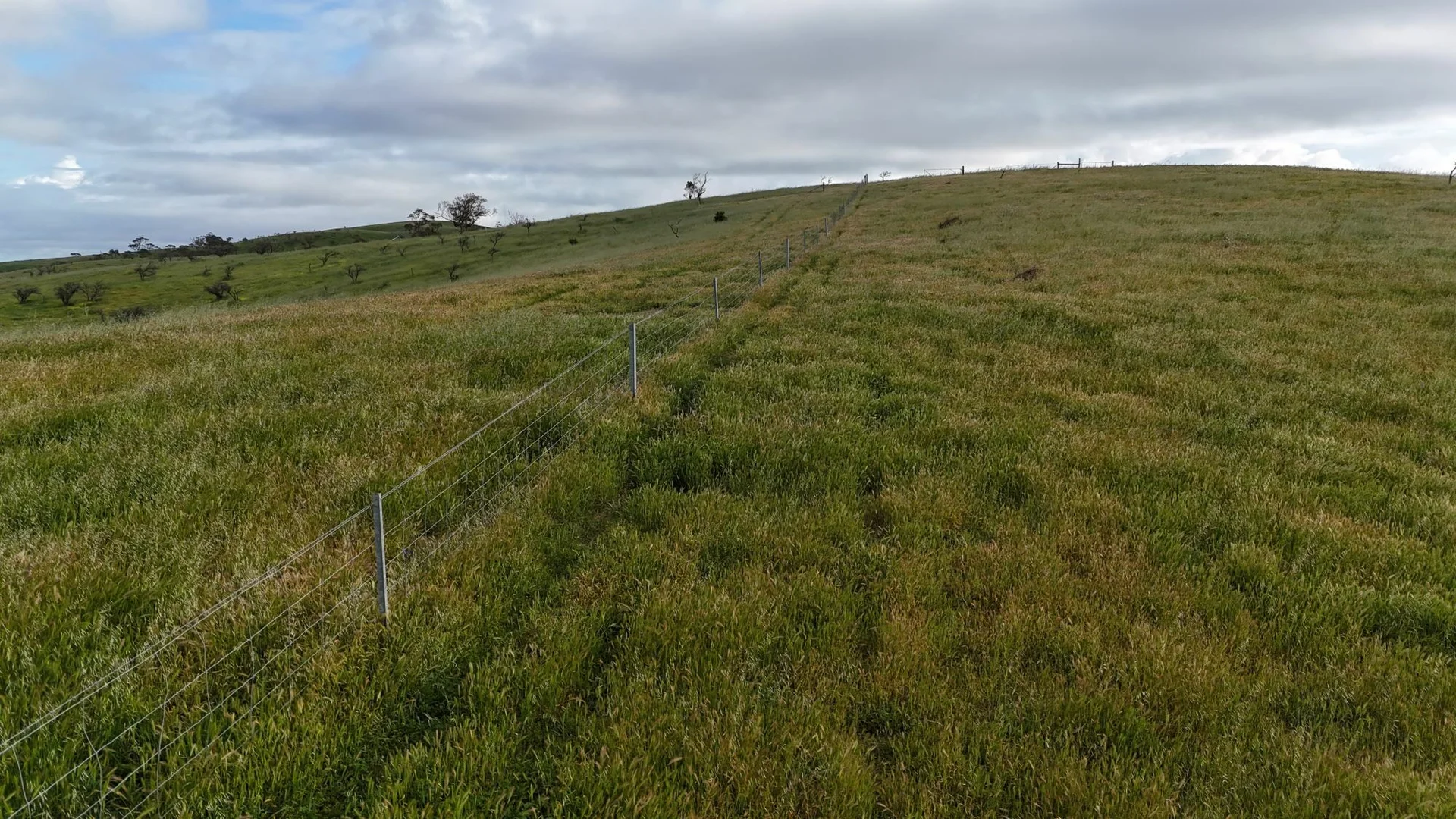 Additional image 13 of 'Crystal Valley' Talbots Road, Crystal Brook SA 5523