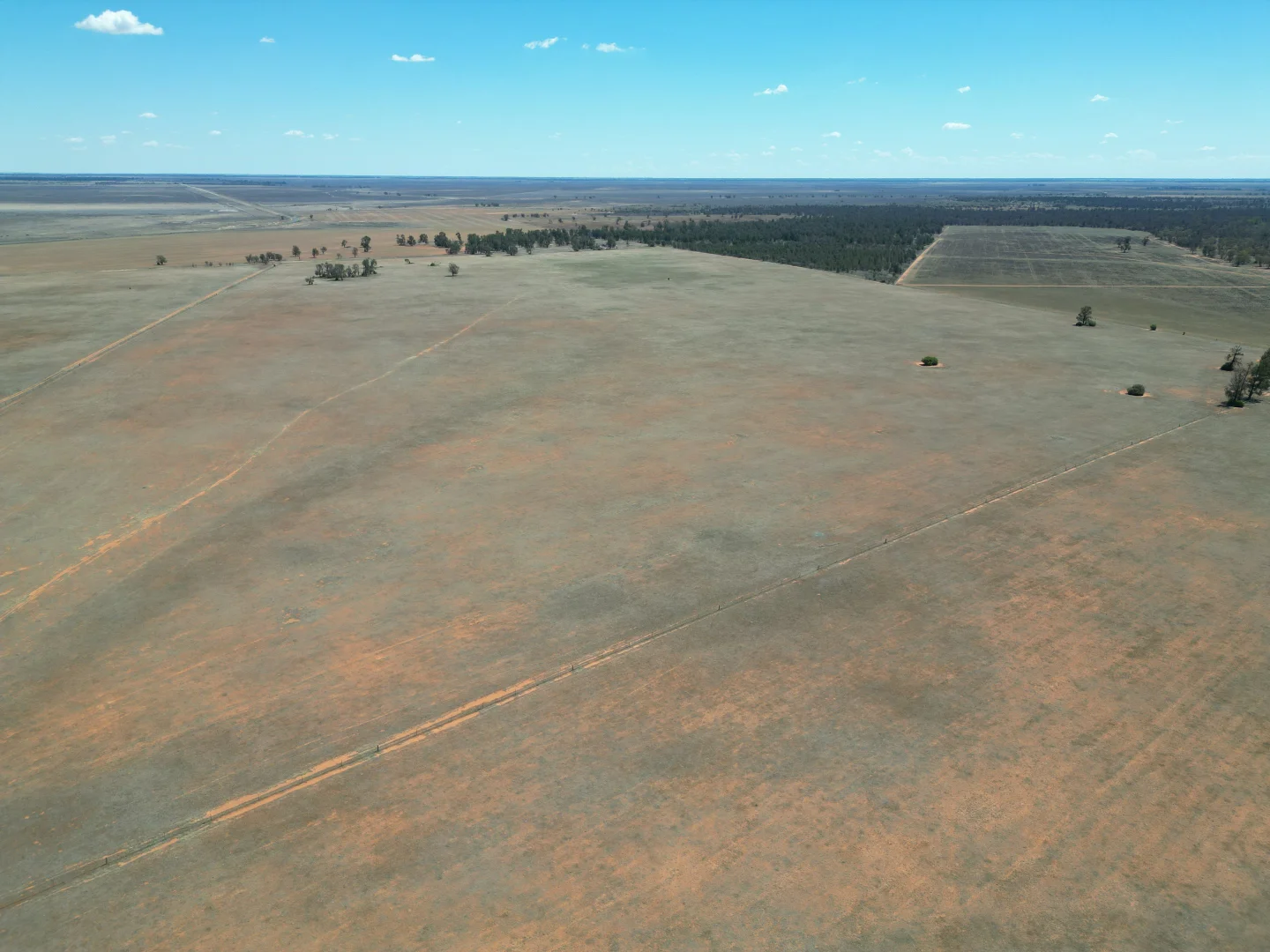 Additional image 18 of LOT 1 LP135805, 1 Cocketgedong Road, Urana NSW 2645