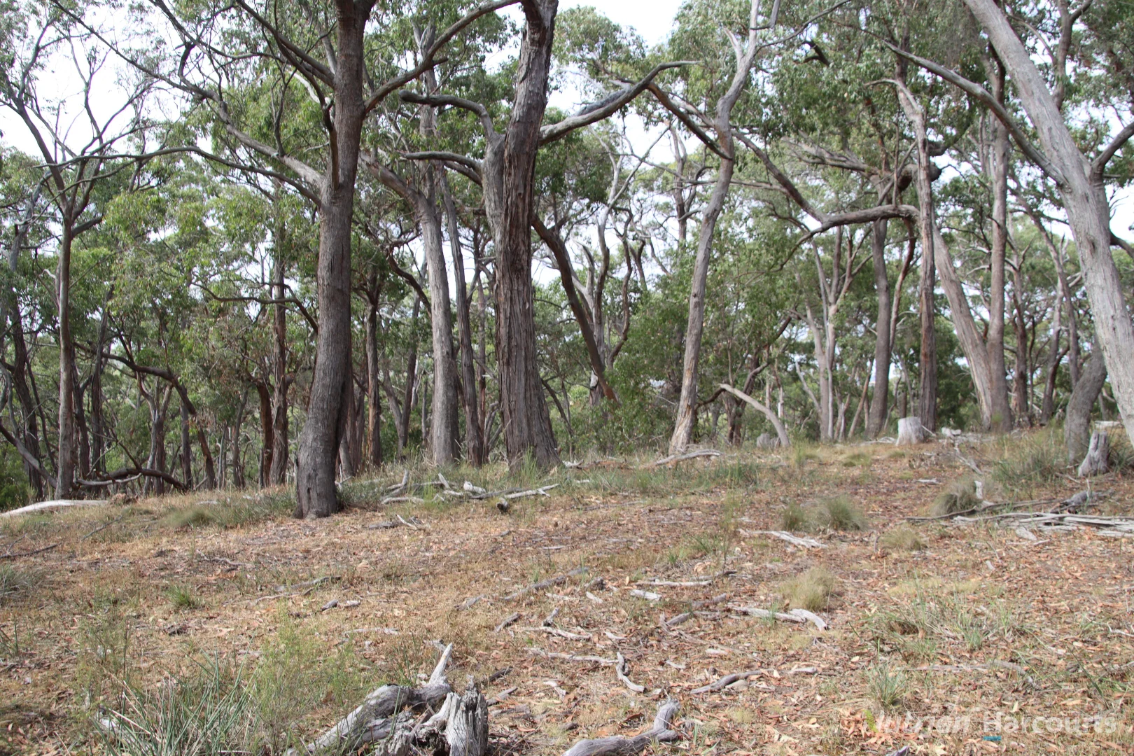 Additional image 7 of Lot 2 Skirkas Road, Buninyong VIC 3357