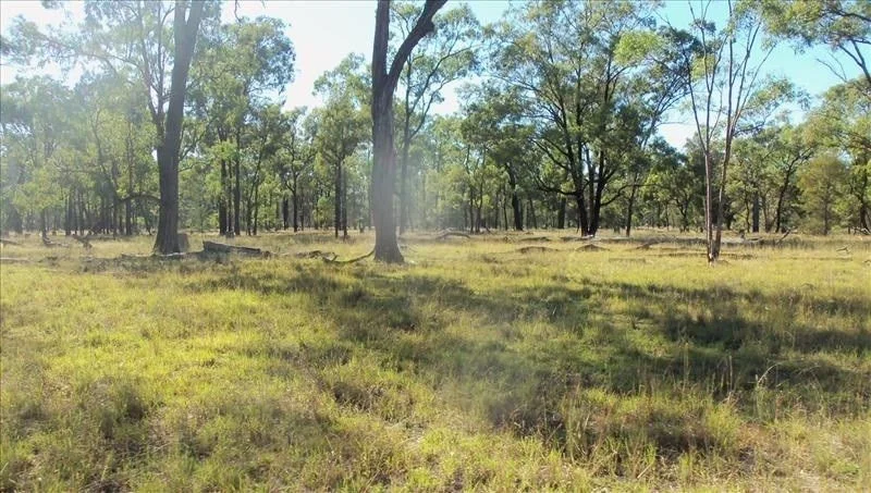 Tara QLD 4421
