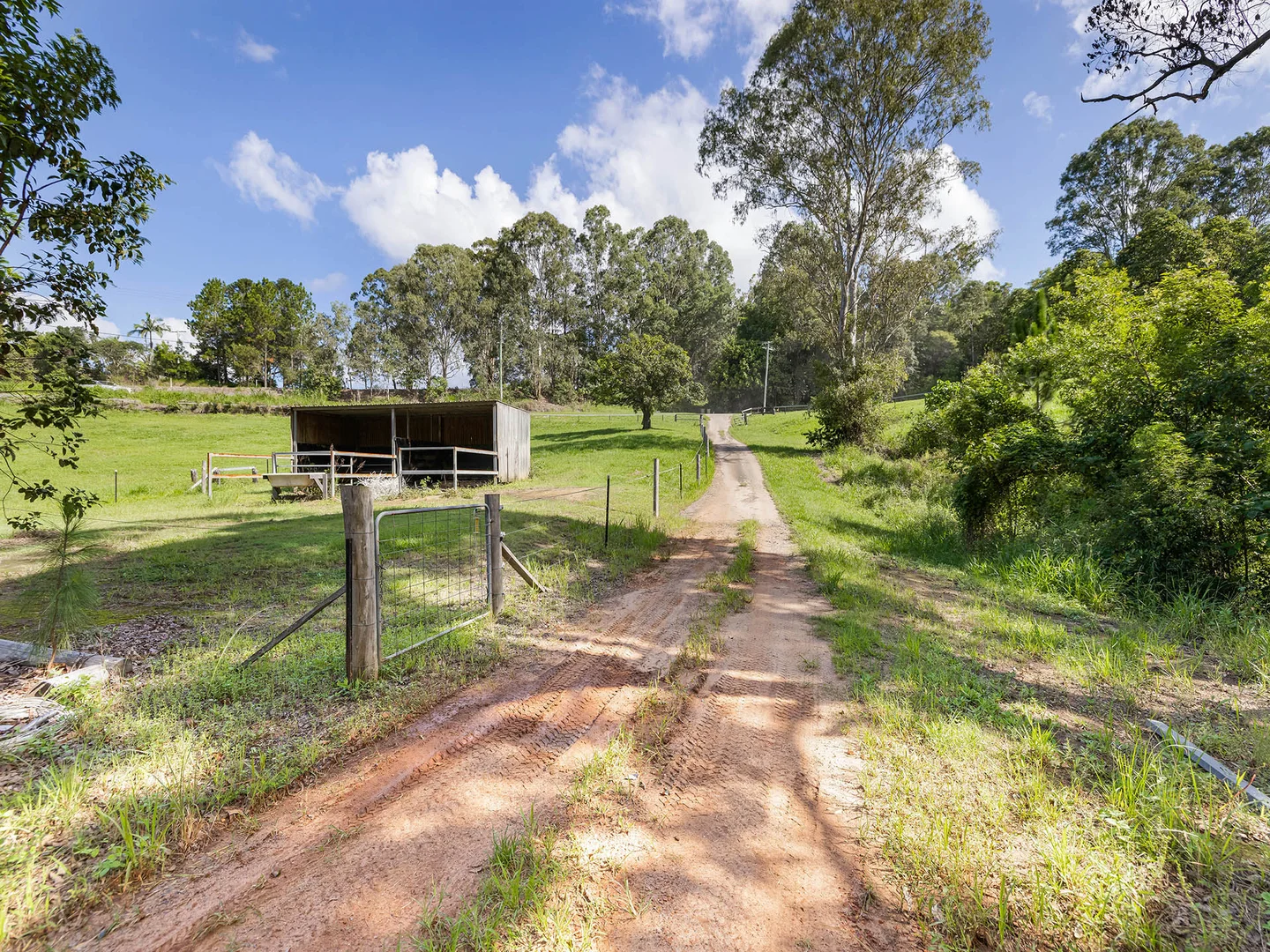 Additional image 27 of 14 Macdonald Road, Palmwoods QLD 4555