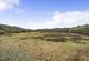 Additional image 16 of Horrabridge, Devon