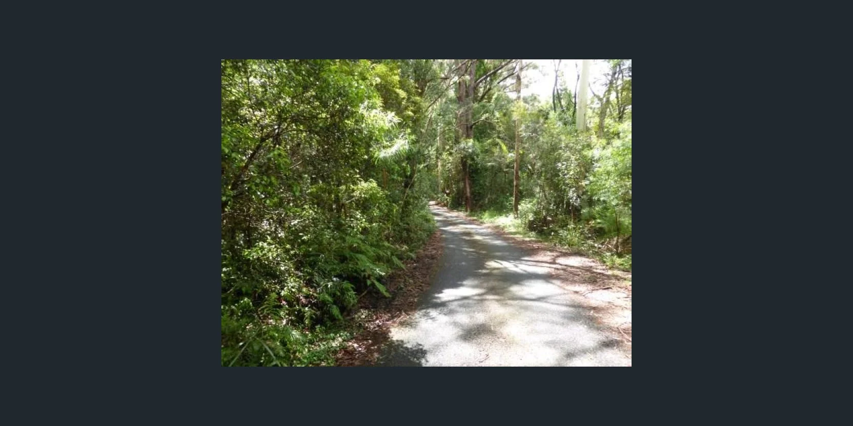 Springbrook QLD 4213 photo 5