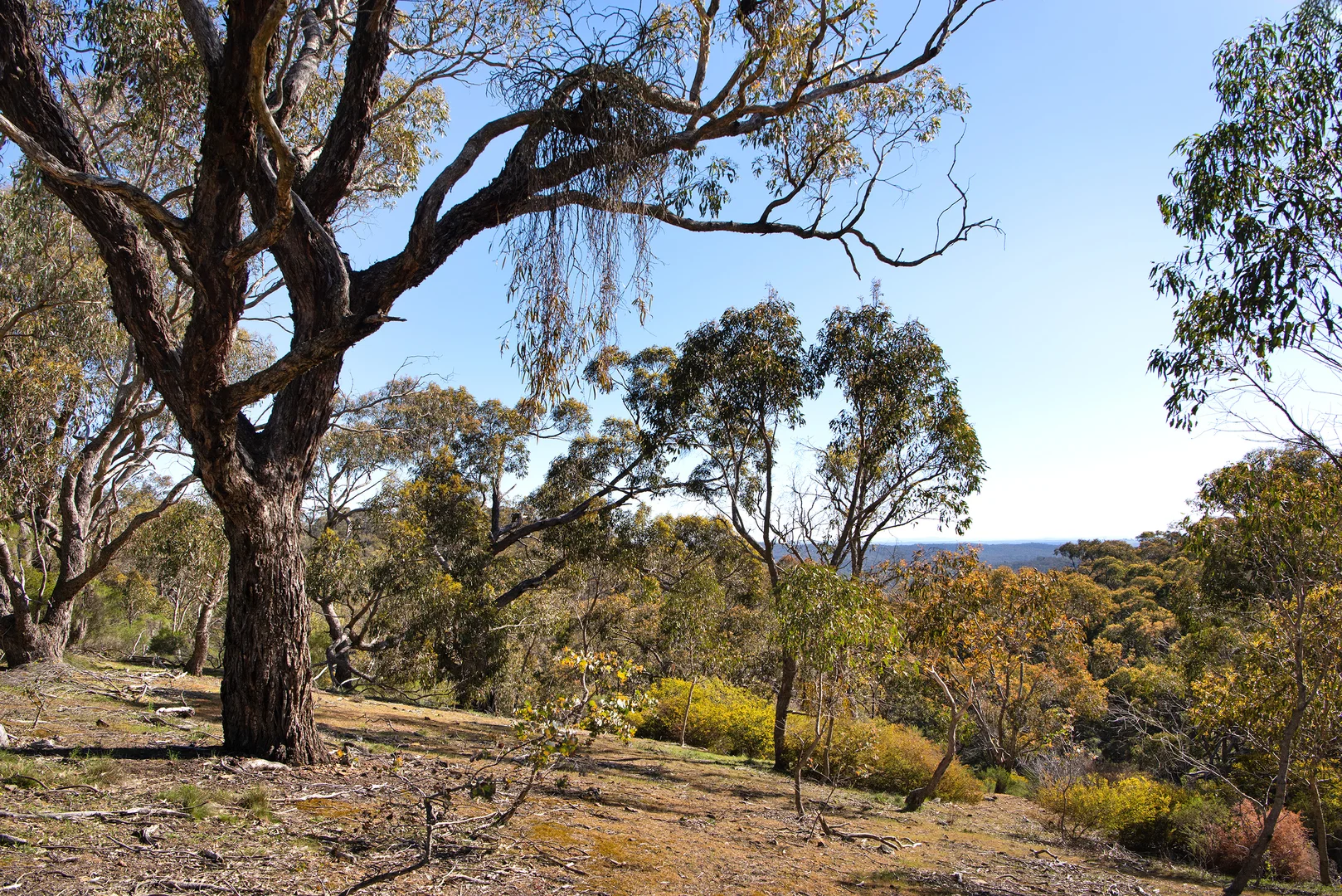 Additional image 16 of 1/128 Kennedys Lane, Faraday VIC 3451