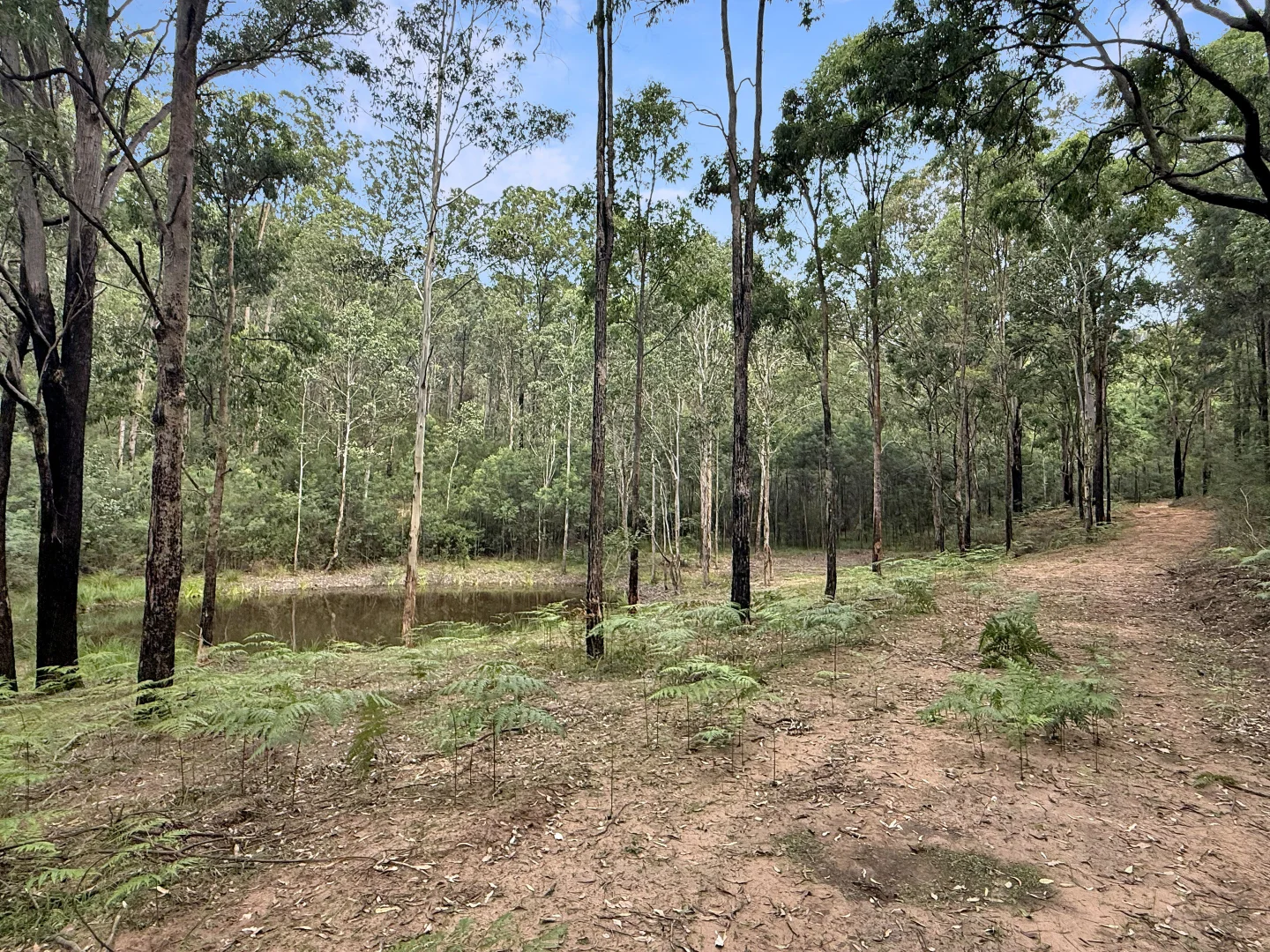 Additional image 14 of 112 Finchley Track, Laguna NSW 2325