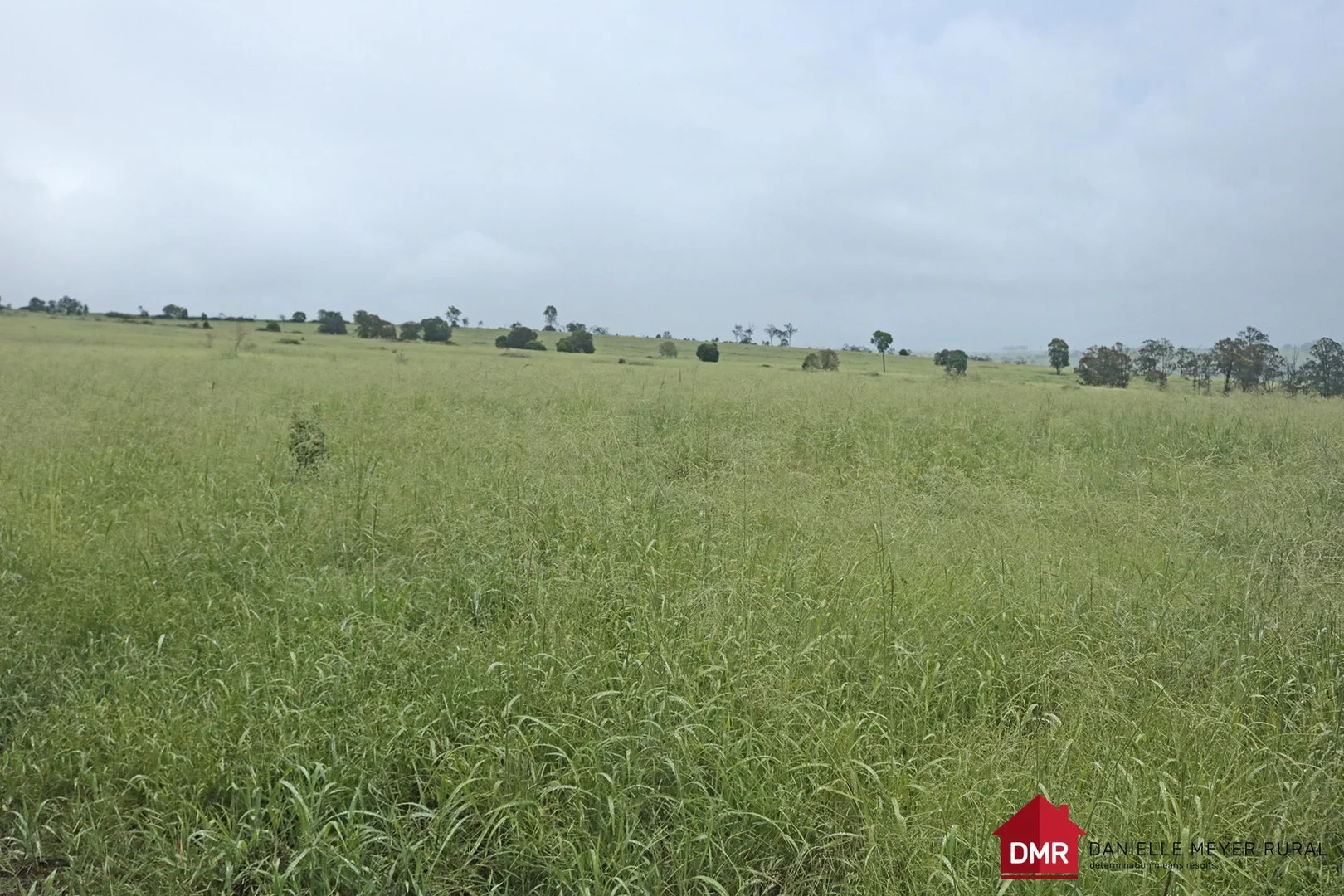 Additional image 16 of 271 McLaughlans Road, Monto QLD 4630