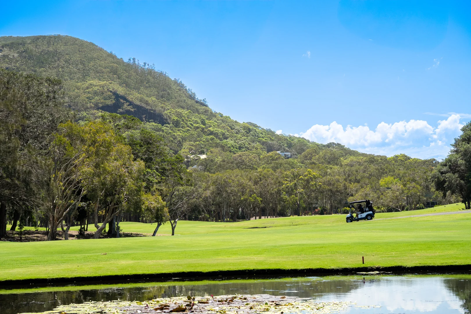 Additional image 6 of 1/31 Lumeah Drive, Mount Coolum QLD 4573