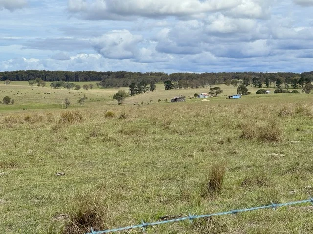 Additional image 10 of 5440 Mount Lindesay Road, Liston NSW 2372