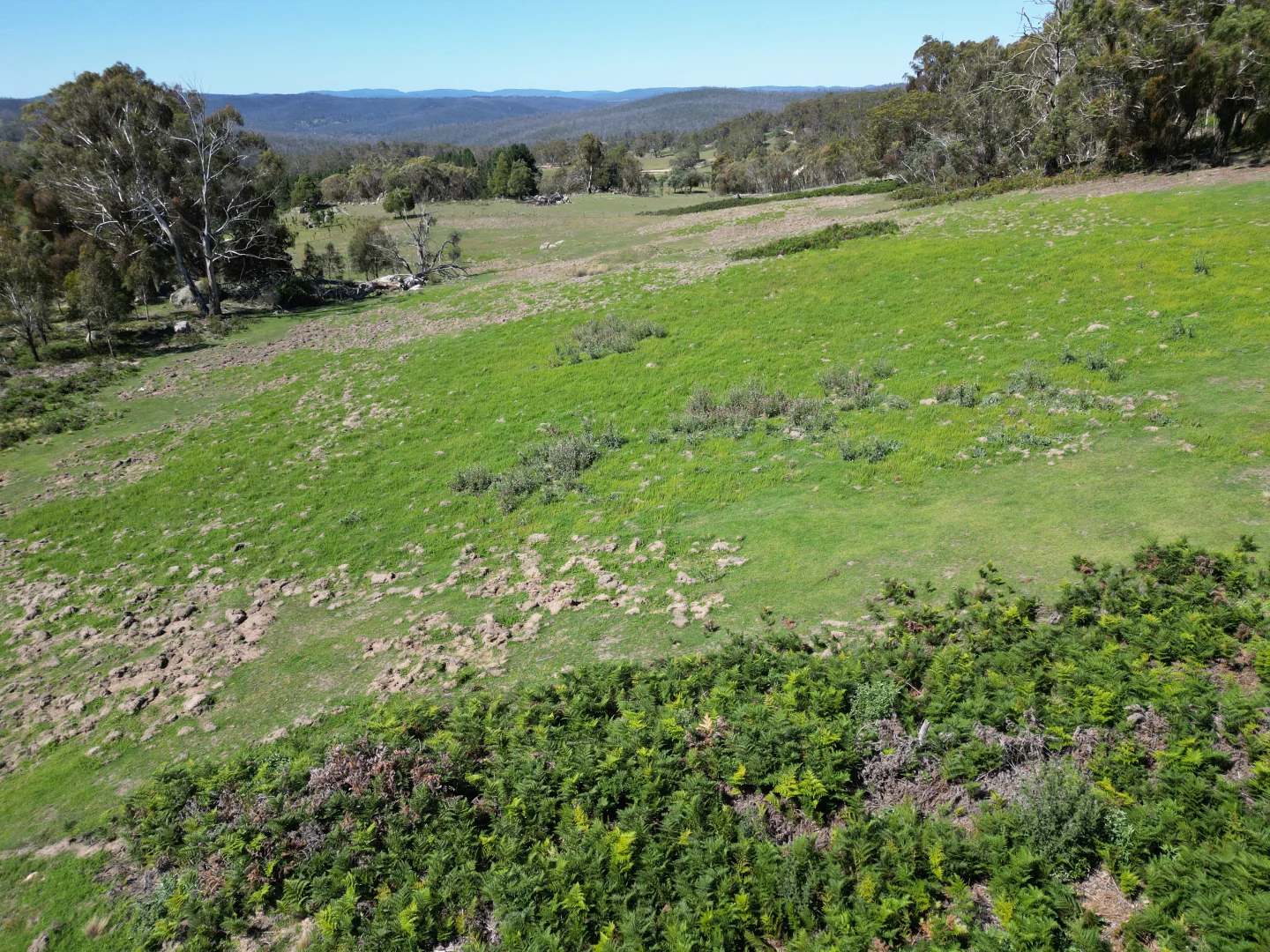 Additional image 26 of Lot 125/125, 175 Tumbledown Road, Peak View NSW 2630