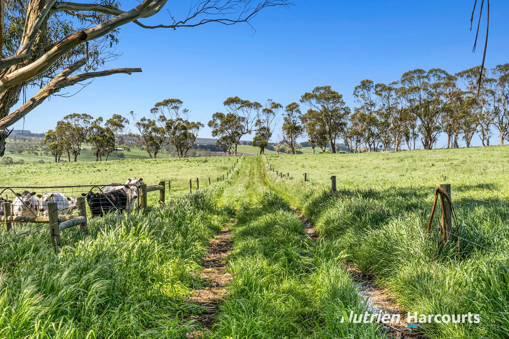 Additional image 9 of Part/880 Timboon - Colac Road, Simpson VIC 3266
