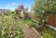 Additional image 18 of Hurst Green, Brightlingsea, CO7