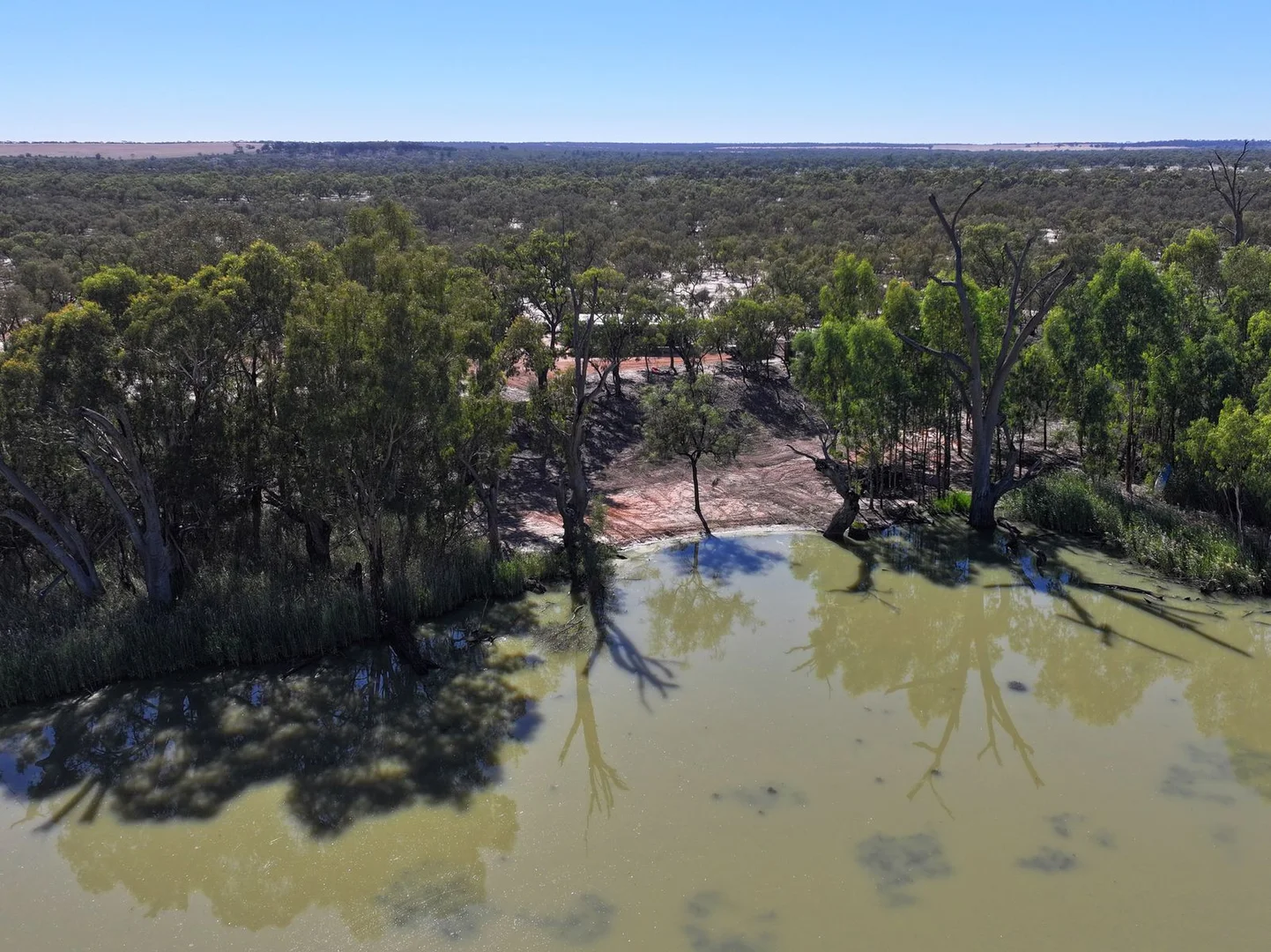 Additional image 7 of Lot 2 / 5669 Sturt Highway, Monak NSW 2738