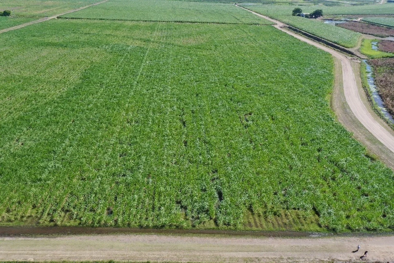 Additional image 2 of 449 Trent Road, Alva QLD 4807