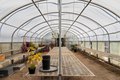 Additional image 93 of 20592 Ayers Rd, Escalon, CA, 95320