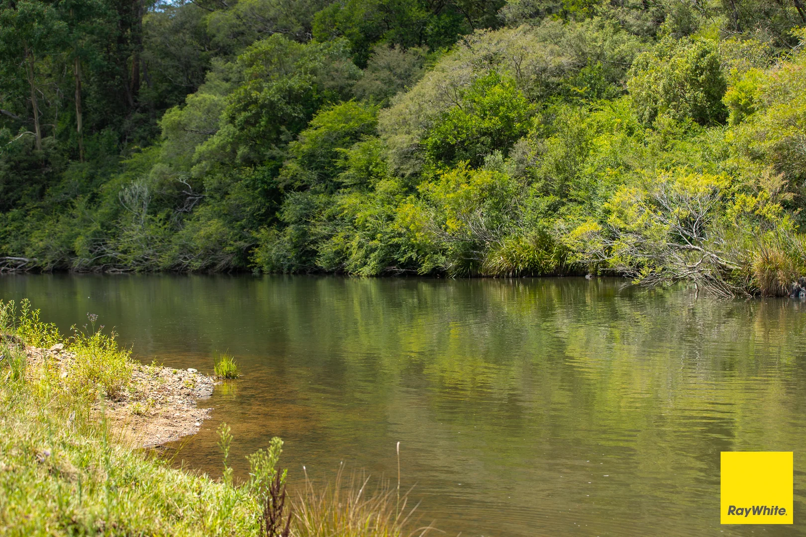 Additional image 11 of 262 Snows Road, Dorrigo NSW 2453