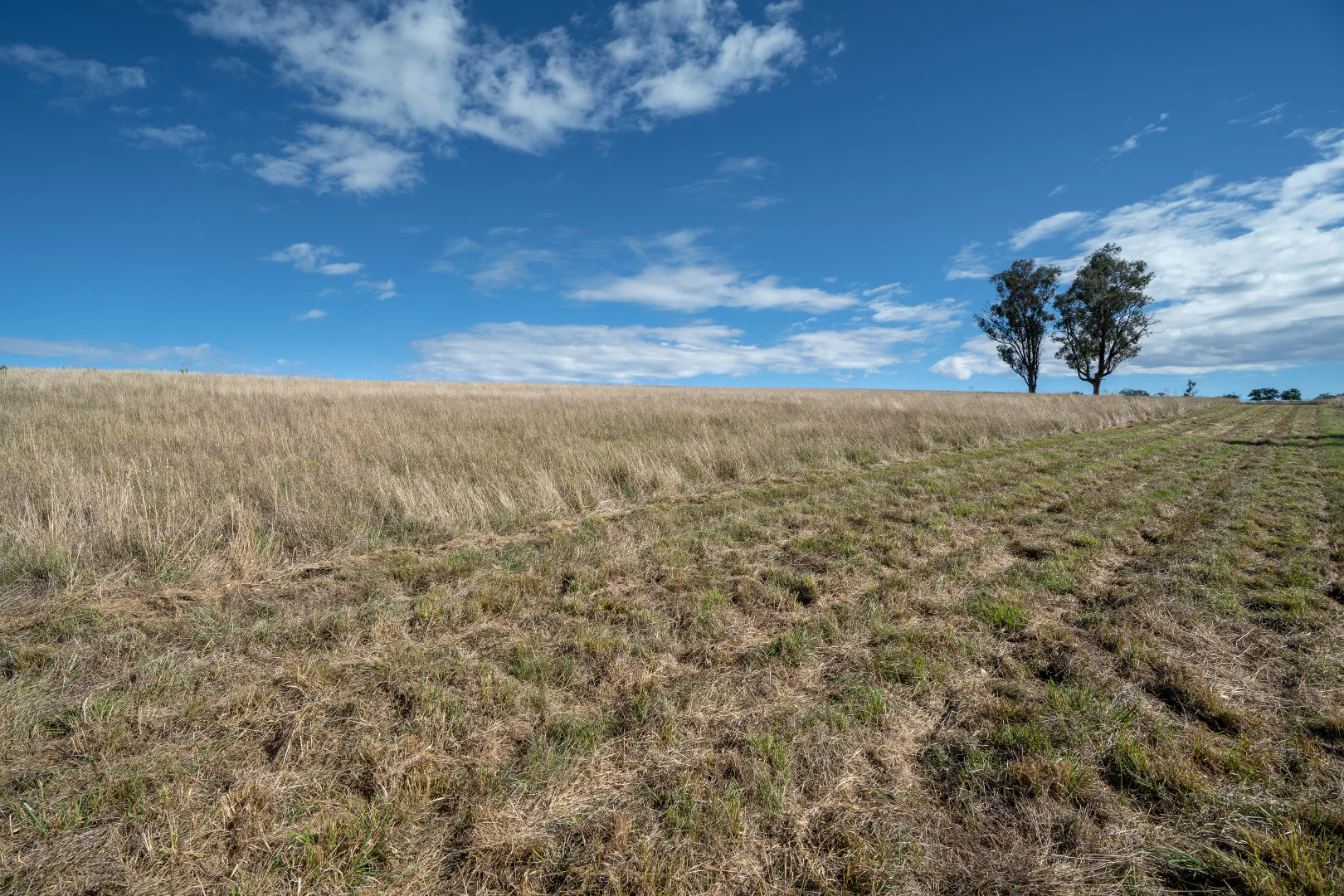 Additional image 3 of 614 Peabody Road, Molong NSW 2866