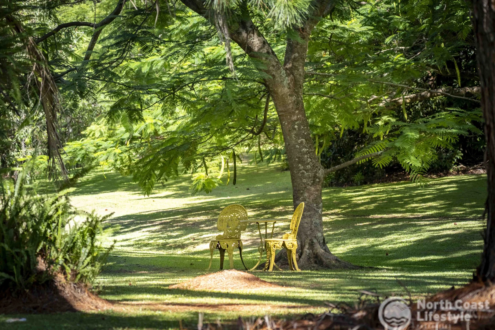 Additional image 16 of 3 Coolamon Avenue, Mullumbimby NSW 2482