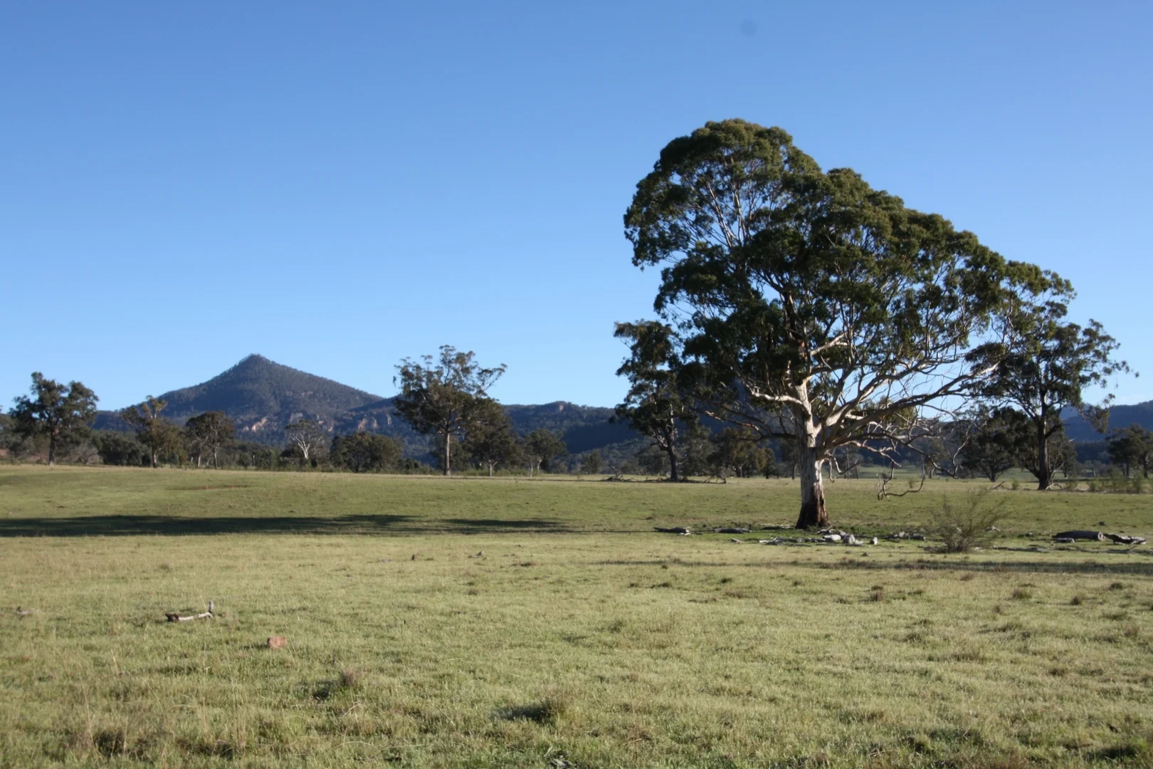 Additional image 20 of 429 & 503 Upper Nile Road, Rylstone NSW 2849