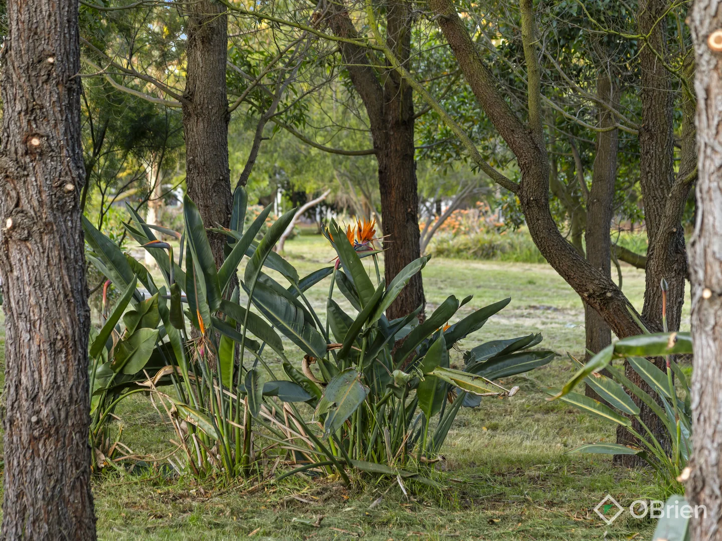 Additional image 31 of 70 Aquarius Avenue, Torquay VIC 3228