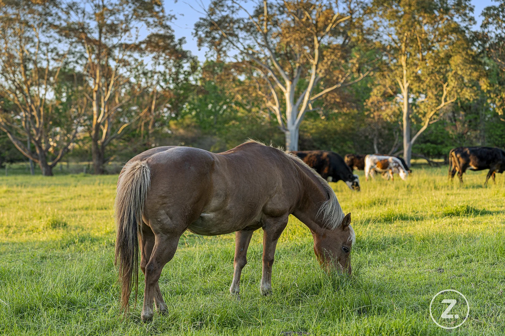 Additional image 15 of 444-454 Belgrave-Hallam Road, Narre Warren North VIC 3804