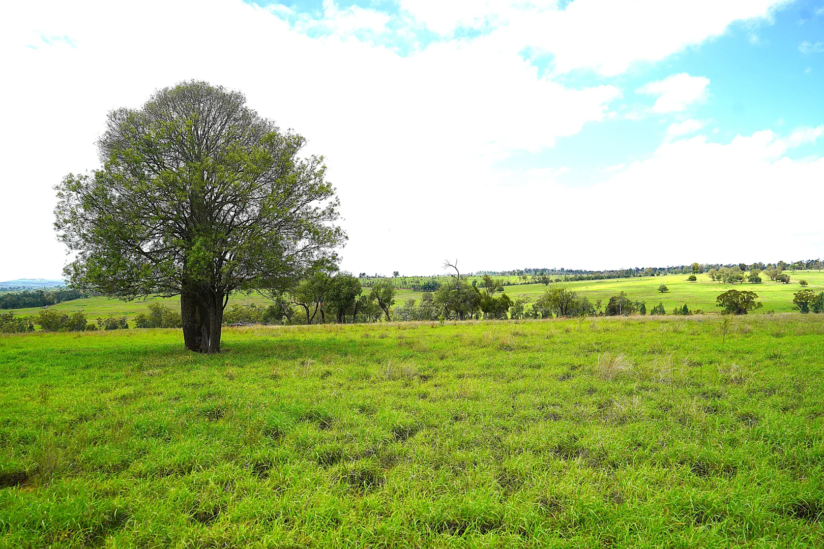 Additional image 9 of Billabong, Orallo Road, Roma QLD 4455