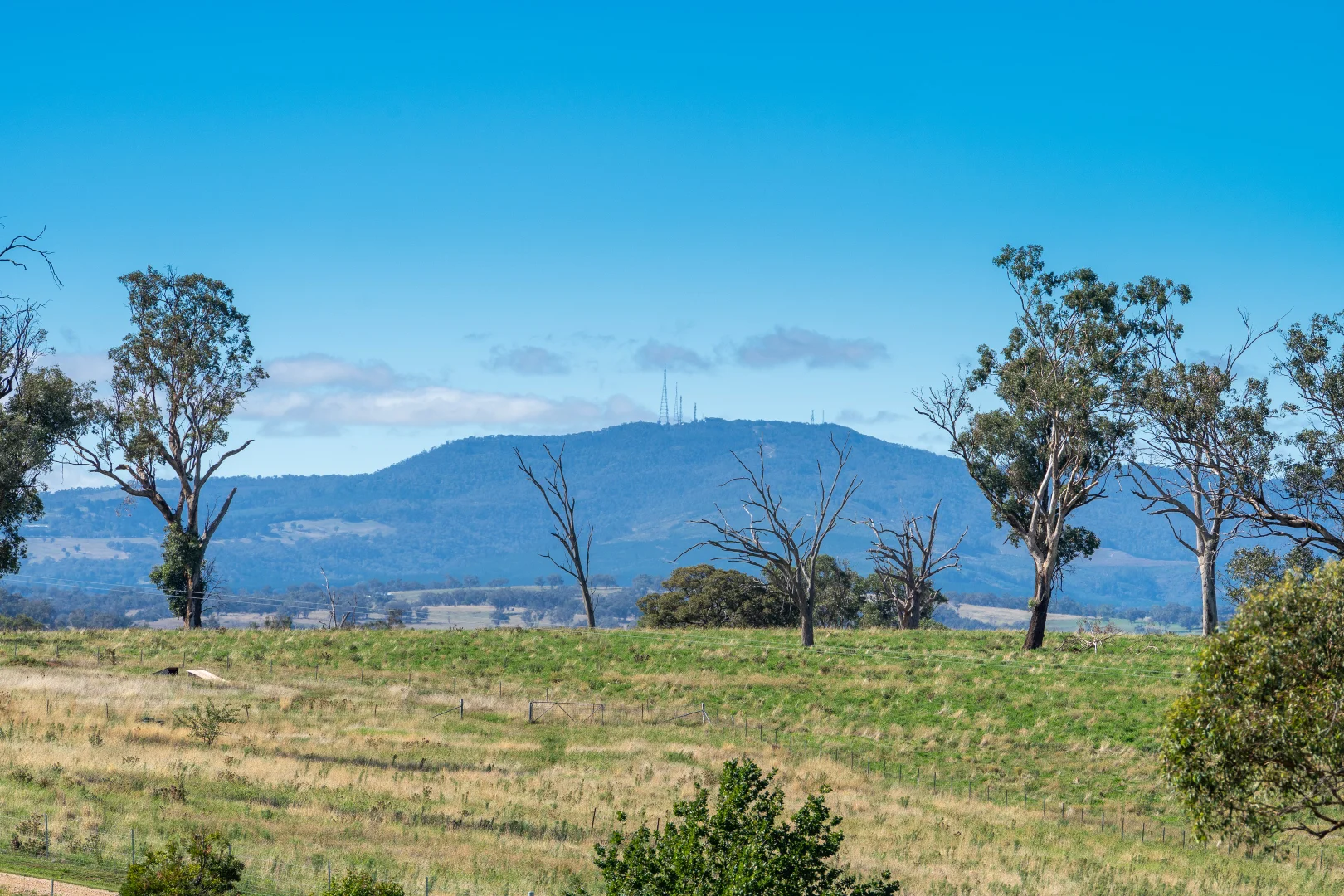 Additional image 13 of 614 Peabody Road, Molong NSW 2866