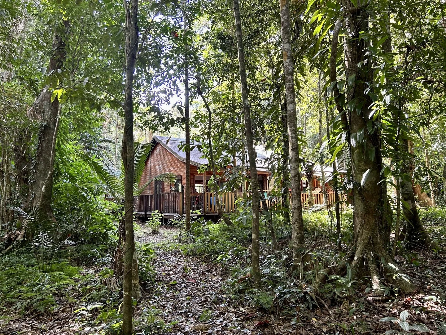 Additional image 15 of Lot 460 Black Bean Road, Daintree QLD 4873