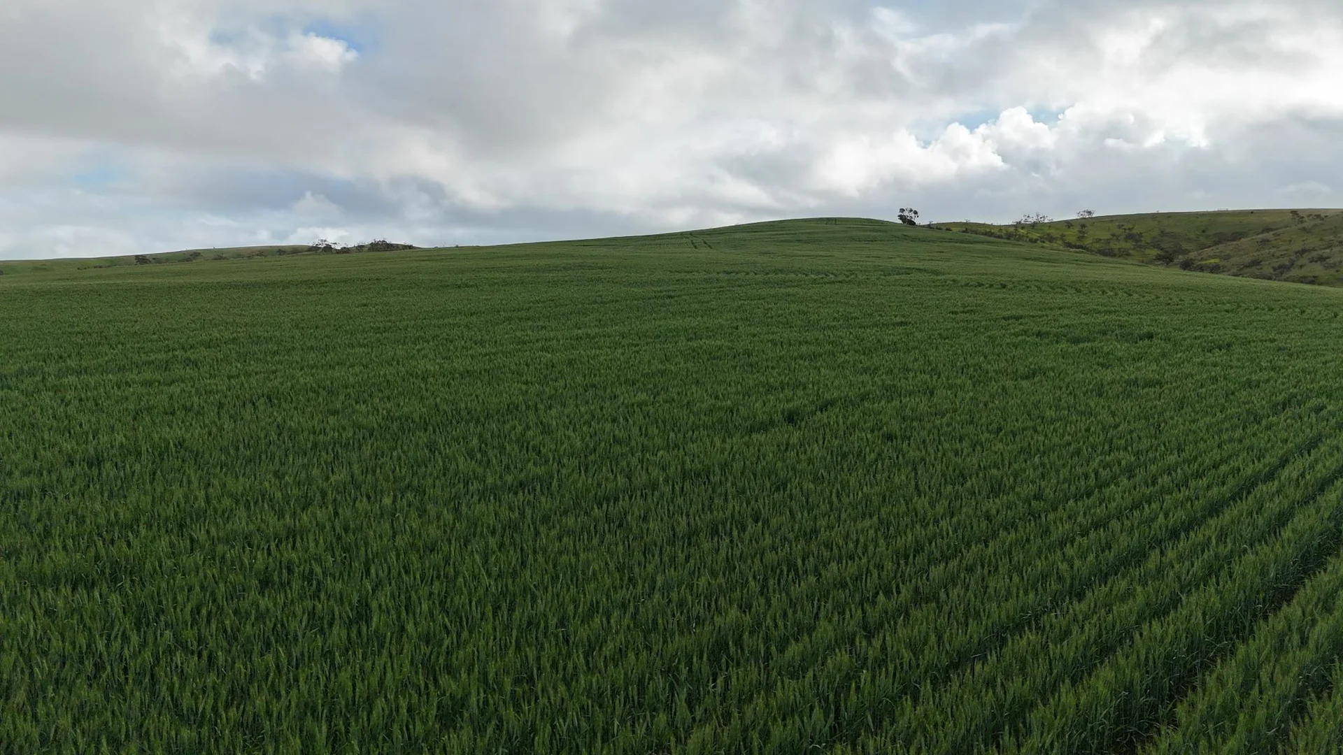 Additional image 18 of 'Crystal Valley' Talbots Road, Crystal Brook SA 5523