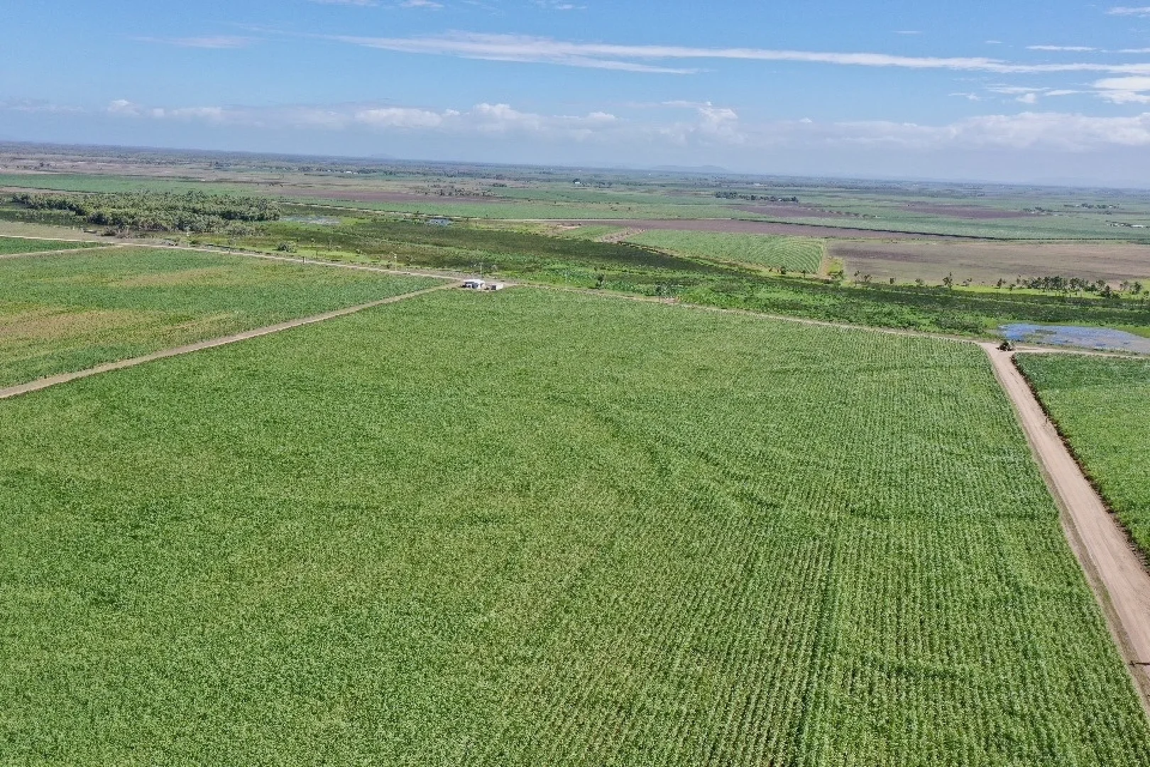 Additional image 3 of 449 Trent Road, Alva QLD 4807