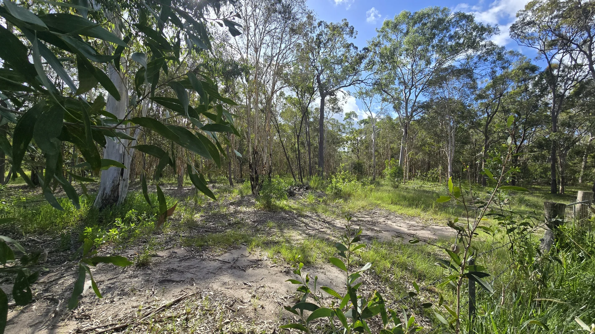 Additional image 4 of 33 Coachmans Place, Oakhurst QLD 4650