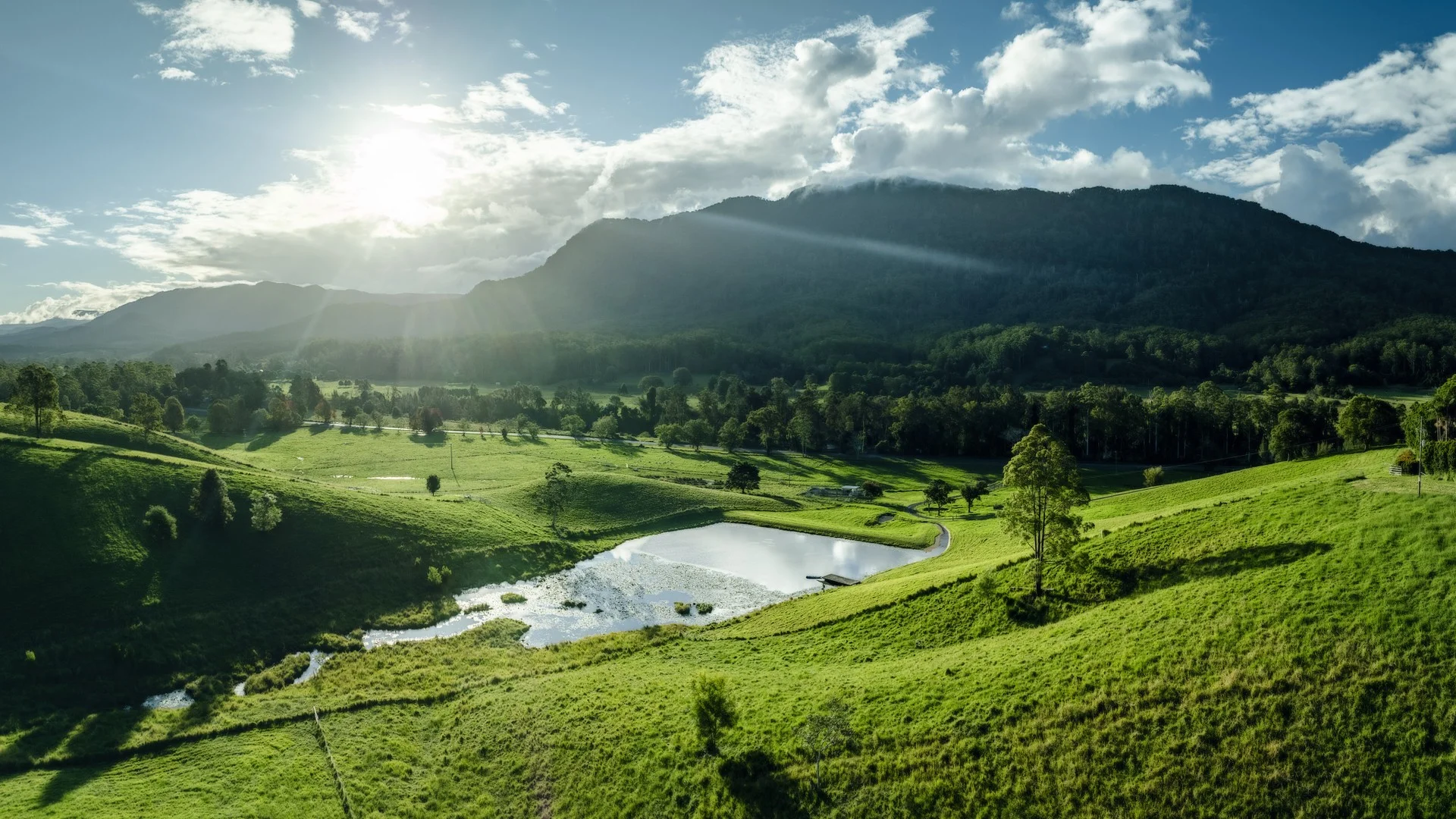 Additional image 4 of 2165 Waterfall Way, Thora NSW 2454