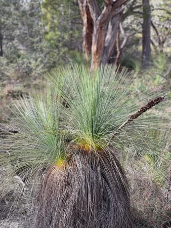 Additional image 19 of 716 Victoria Valley Road, Victoria Valley VIC 3294
