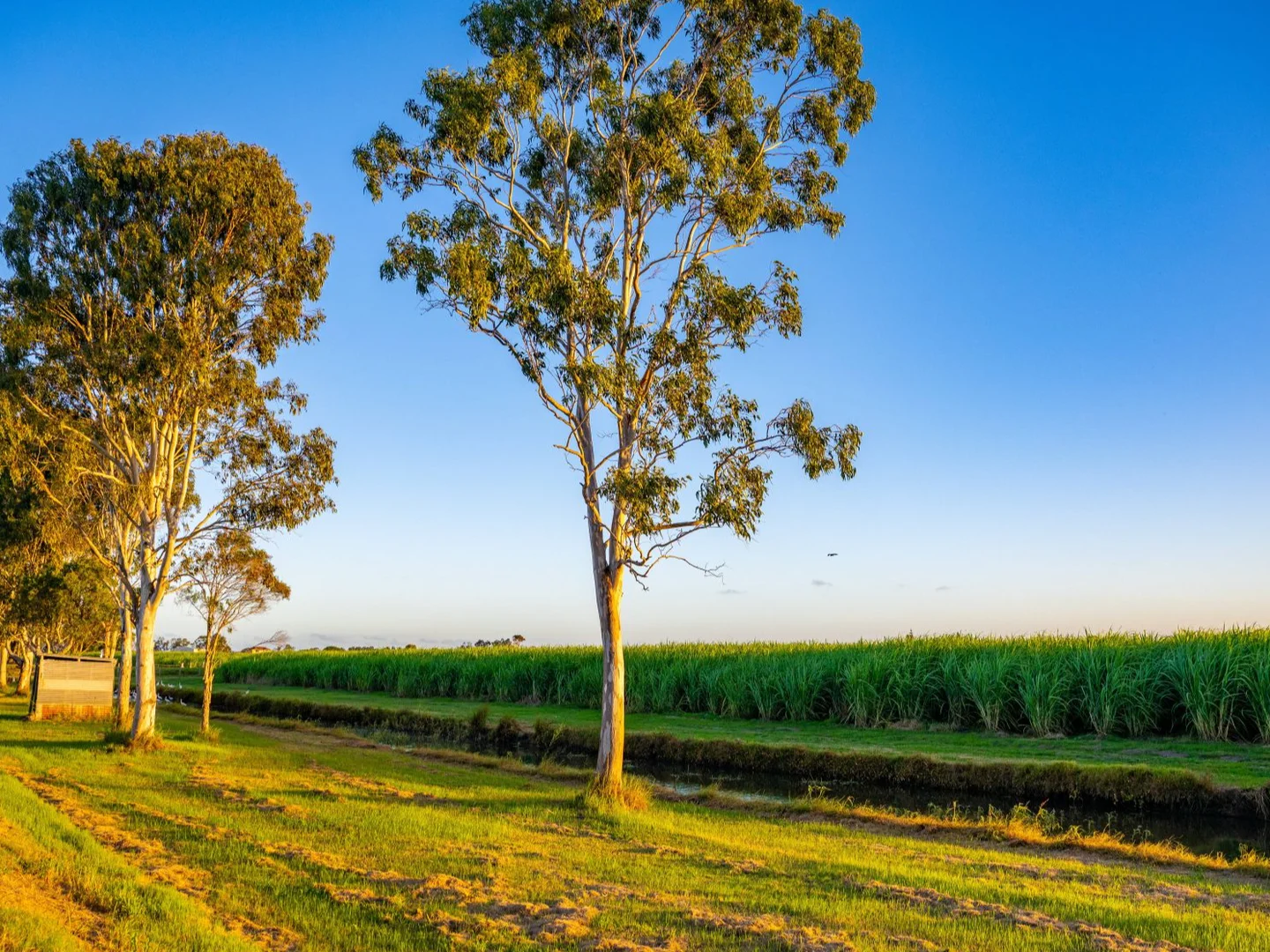 Additional image 4 of 45 River Road East, Harwood NSW 2465